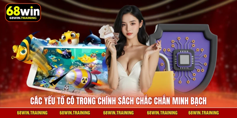 Các yếu tố có trong chính sách chắc chắn minh bạch