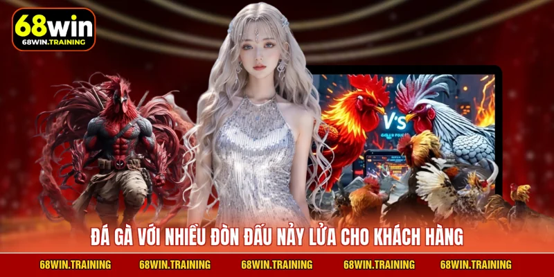 Đá gà với nhiều đòn đấu nảy lửa cho khách hàng