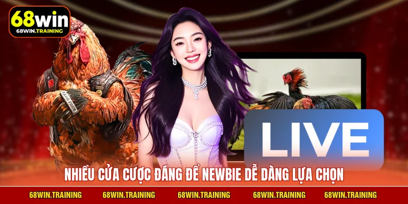 Nhiều cửa cược đáng để newbie dễ dàng lựa chọn