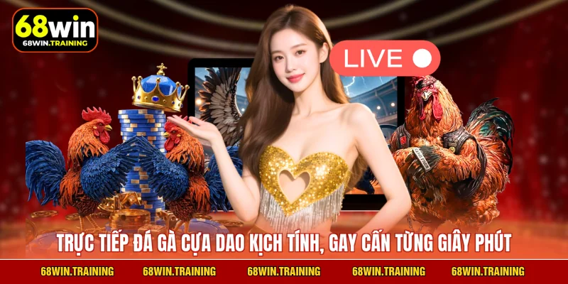 Trực tiếp đá gà cựa dao kịch tính, gay cấn từng giây phút