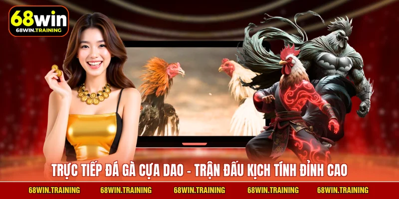 Trực Tiếp Đá Gà Cựa Dao – Đấu Trường Kịch Tính Đỉnh Cao